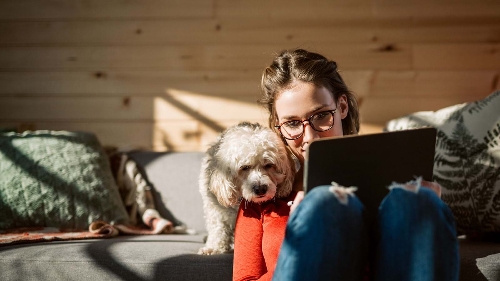 Remote worker looking at their digital workplace with dog