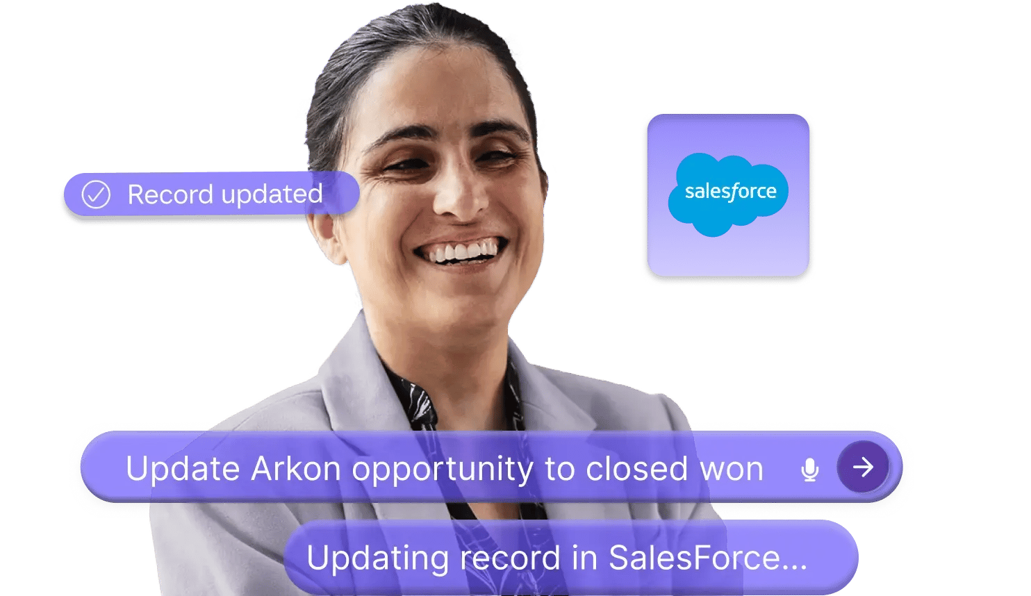 Snippet-Salesforce-1