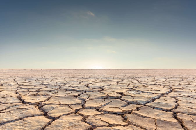 Culture Cracks Quiet Constraint