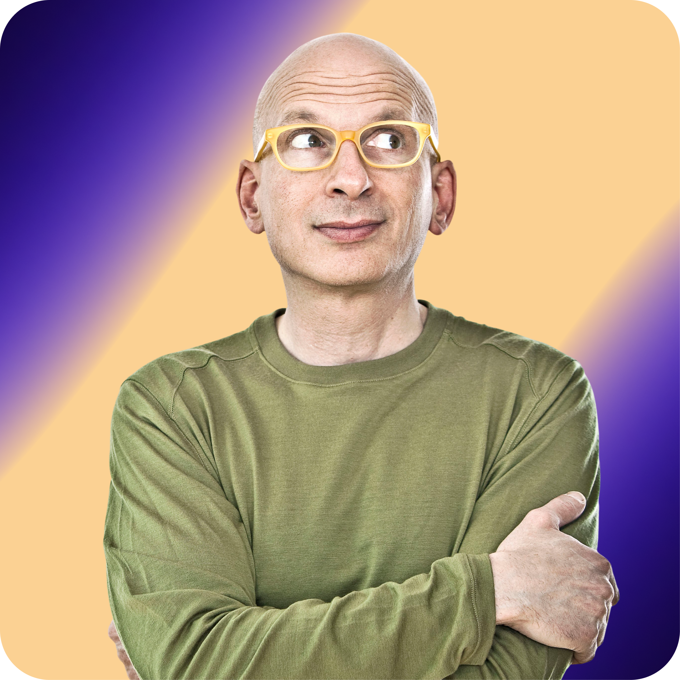 Seth Godin