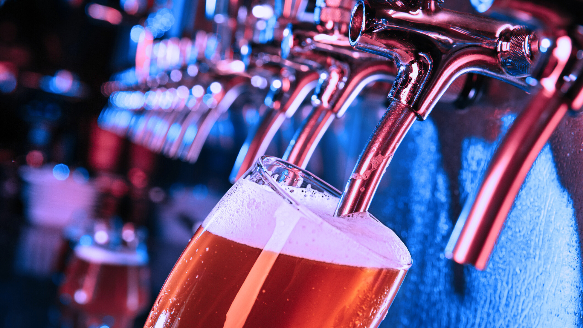 Boston Beer case study image