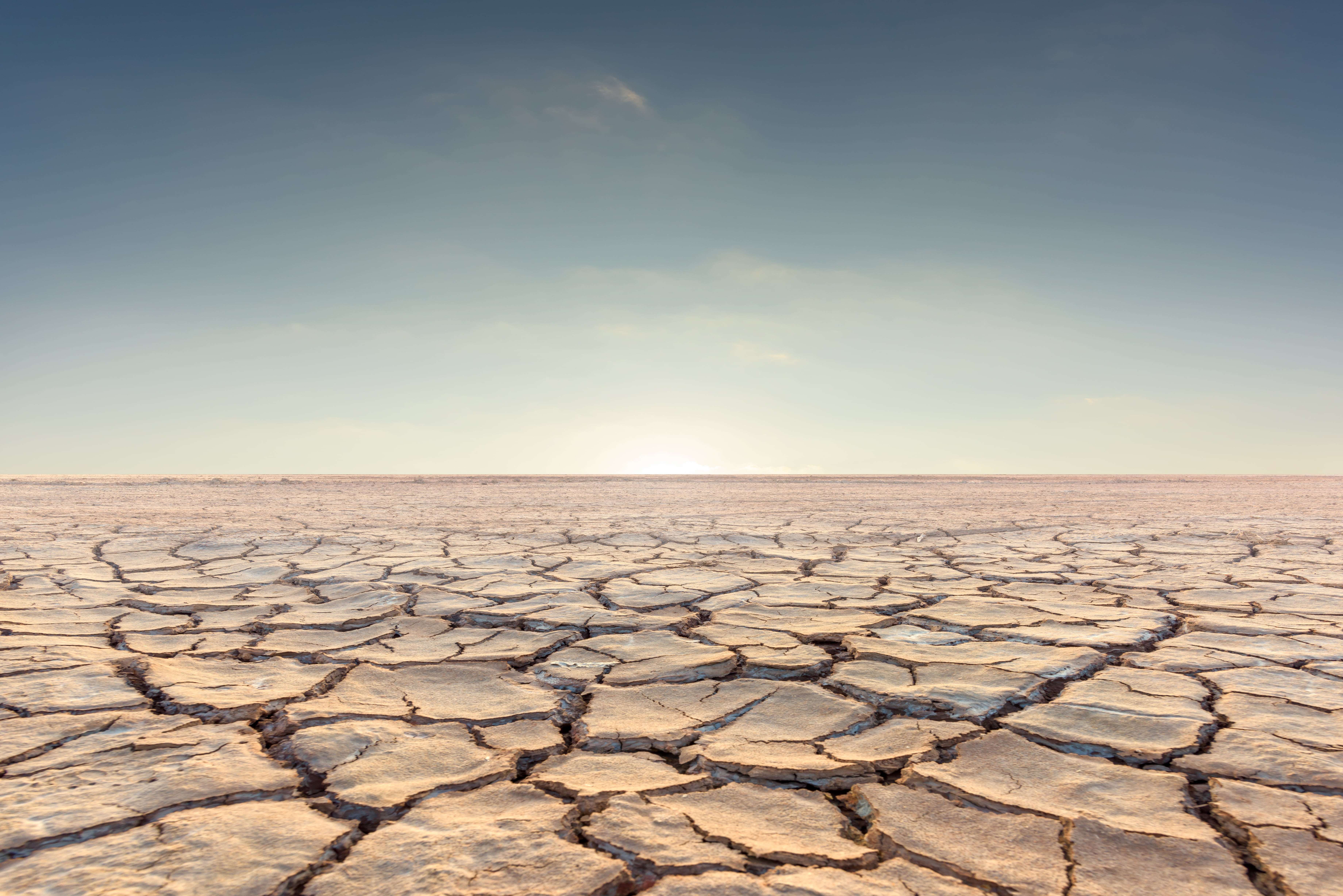 Culture Cracks Quiet Constraint