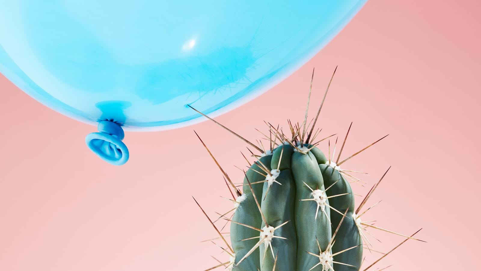 Balloon close to cactus