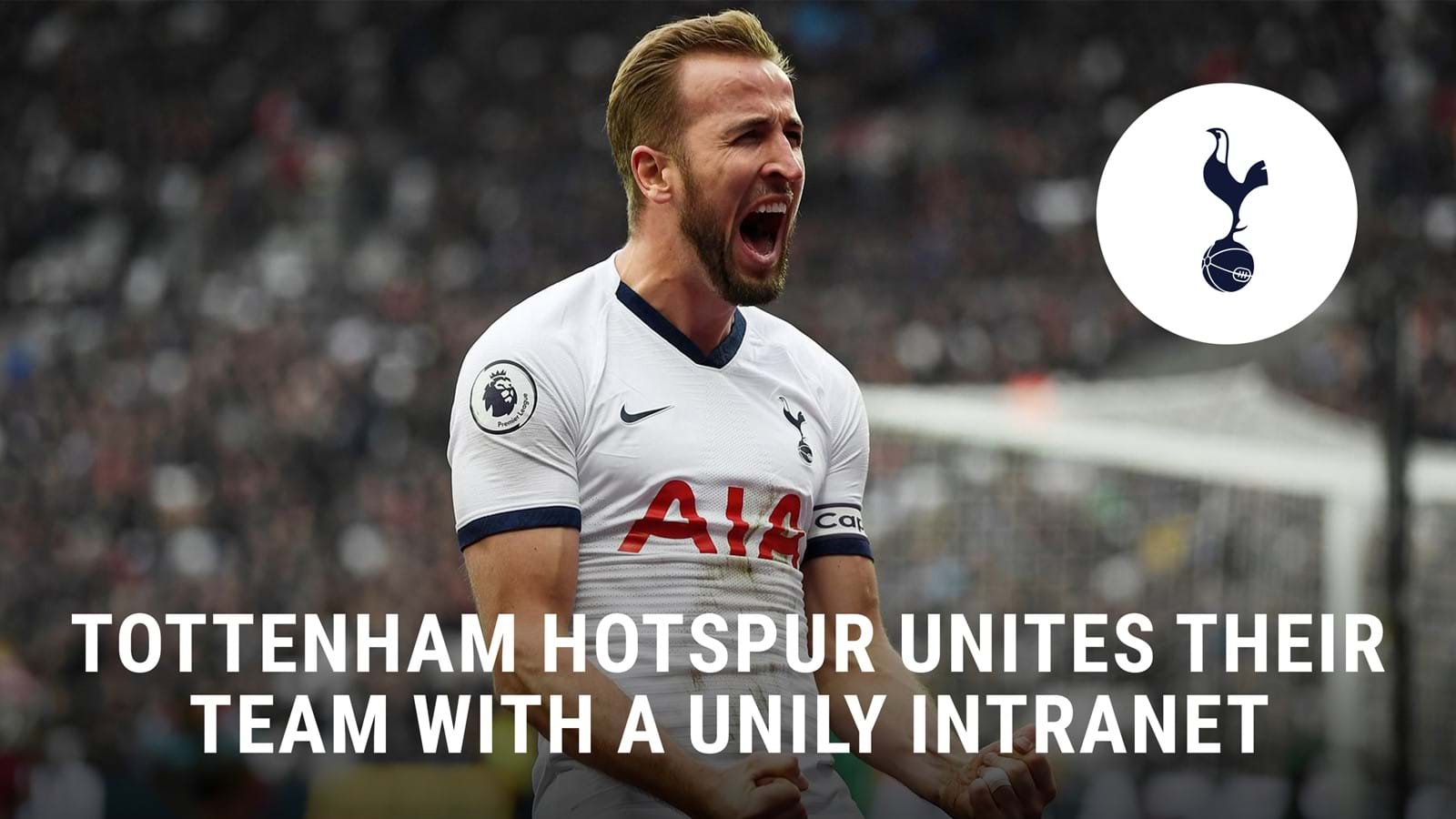 Tottenham Hotspur intranet case study download