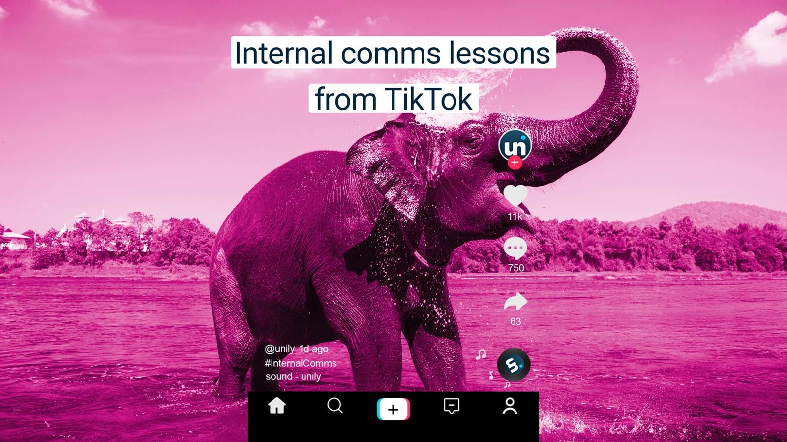 Pink elephant - 'Internal Communications Lessons from TikTok'