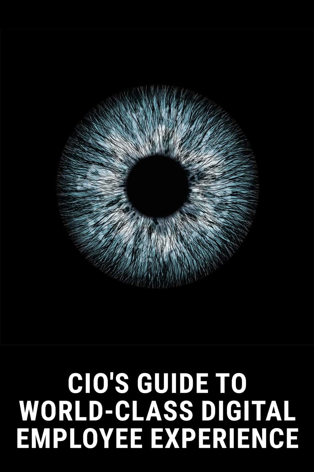 'CIO's guide to world-class digital employee experience' guide flat pages